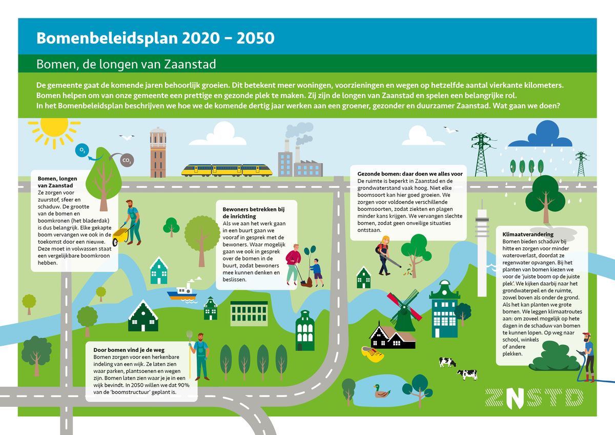 Bomenbeleidsplan 2020-2050