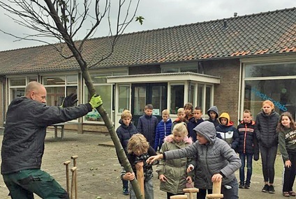 Op deze foto zie je een boomspecialist een boom planten samen met kinderen van een basisschool